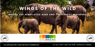 West Kameng - Nameri Birding Tour