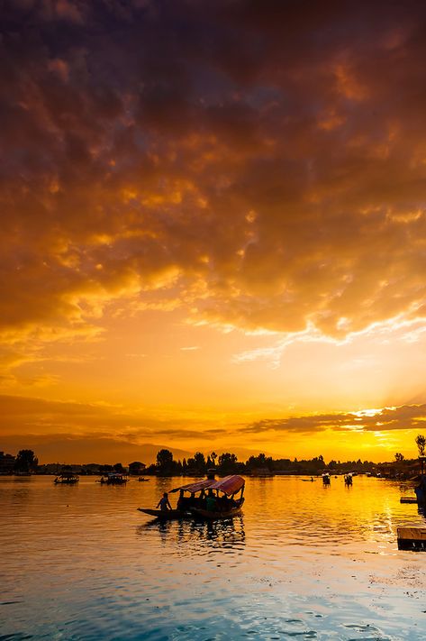 Kashmir Honeymoon Romantic Special