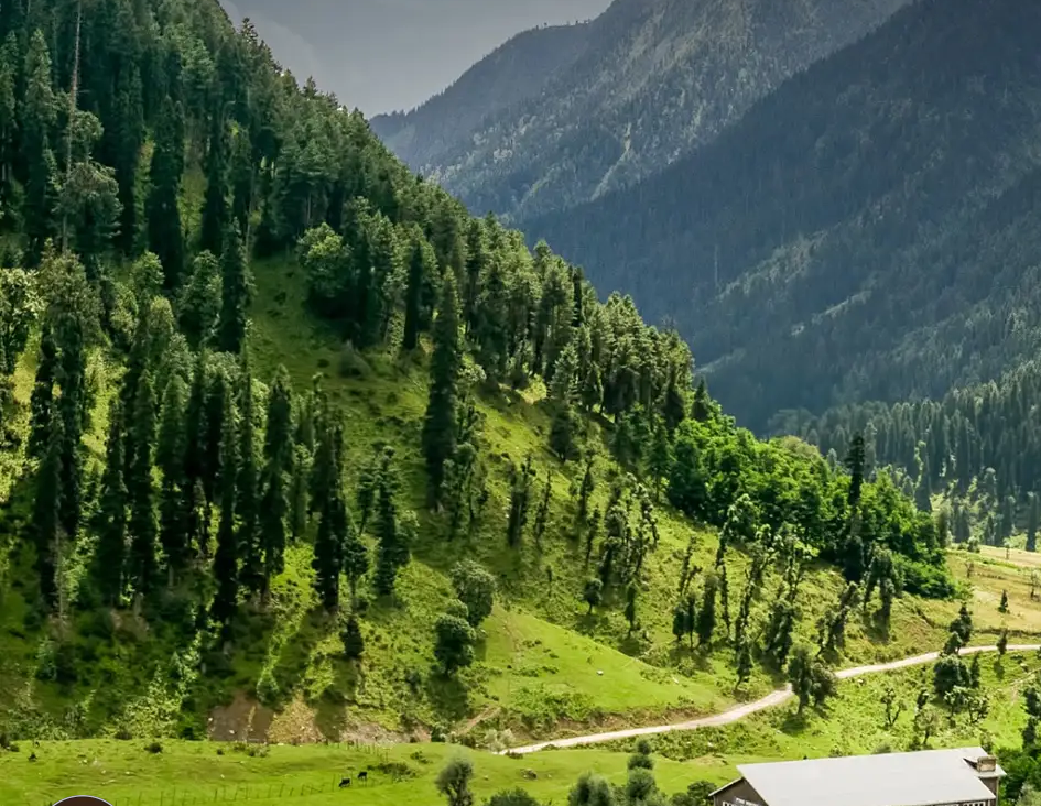 Kashmir tour packages by Kashmir Aamad
